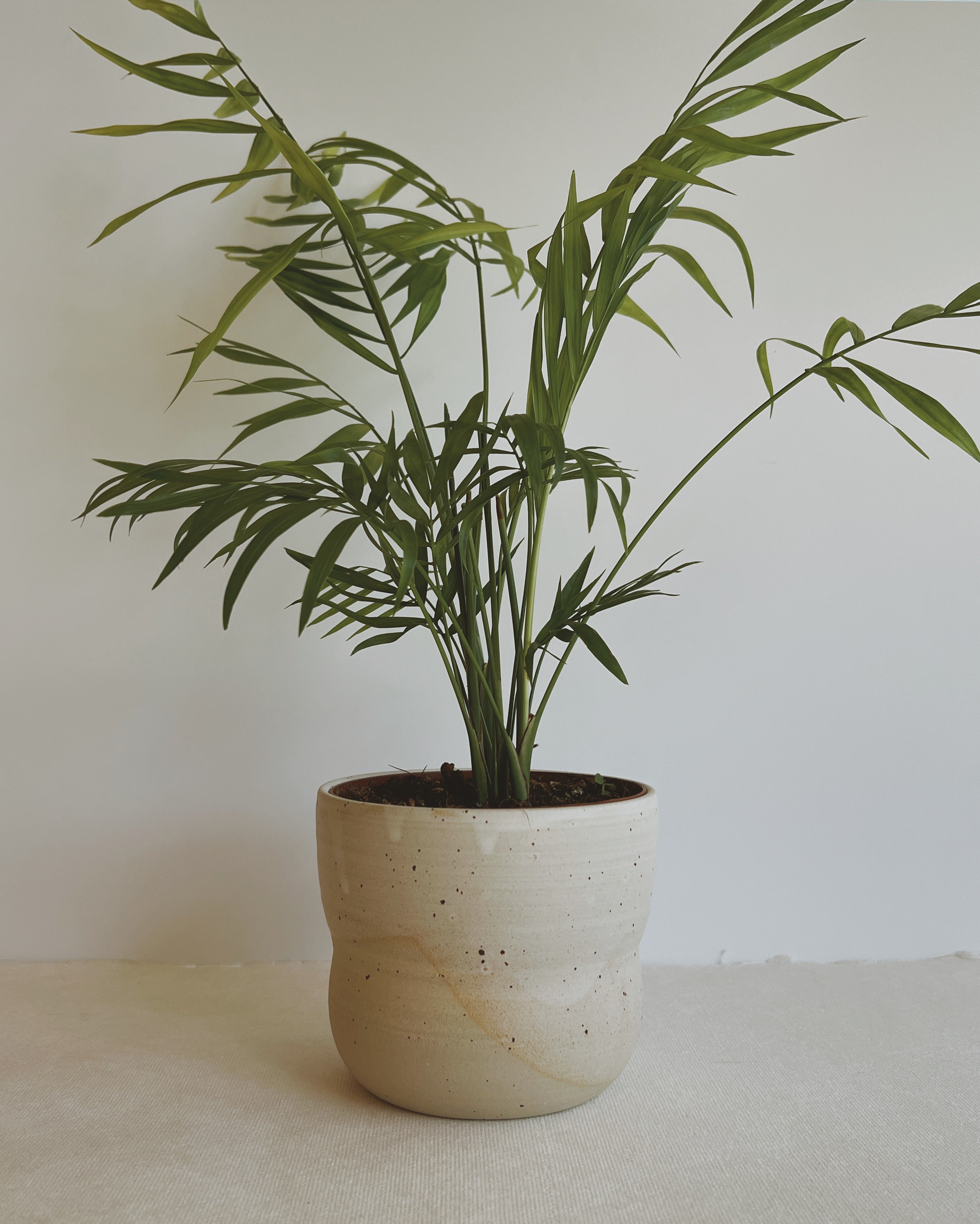 Bloempot no. 5