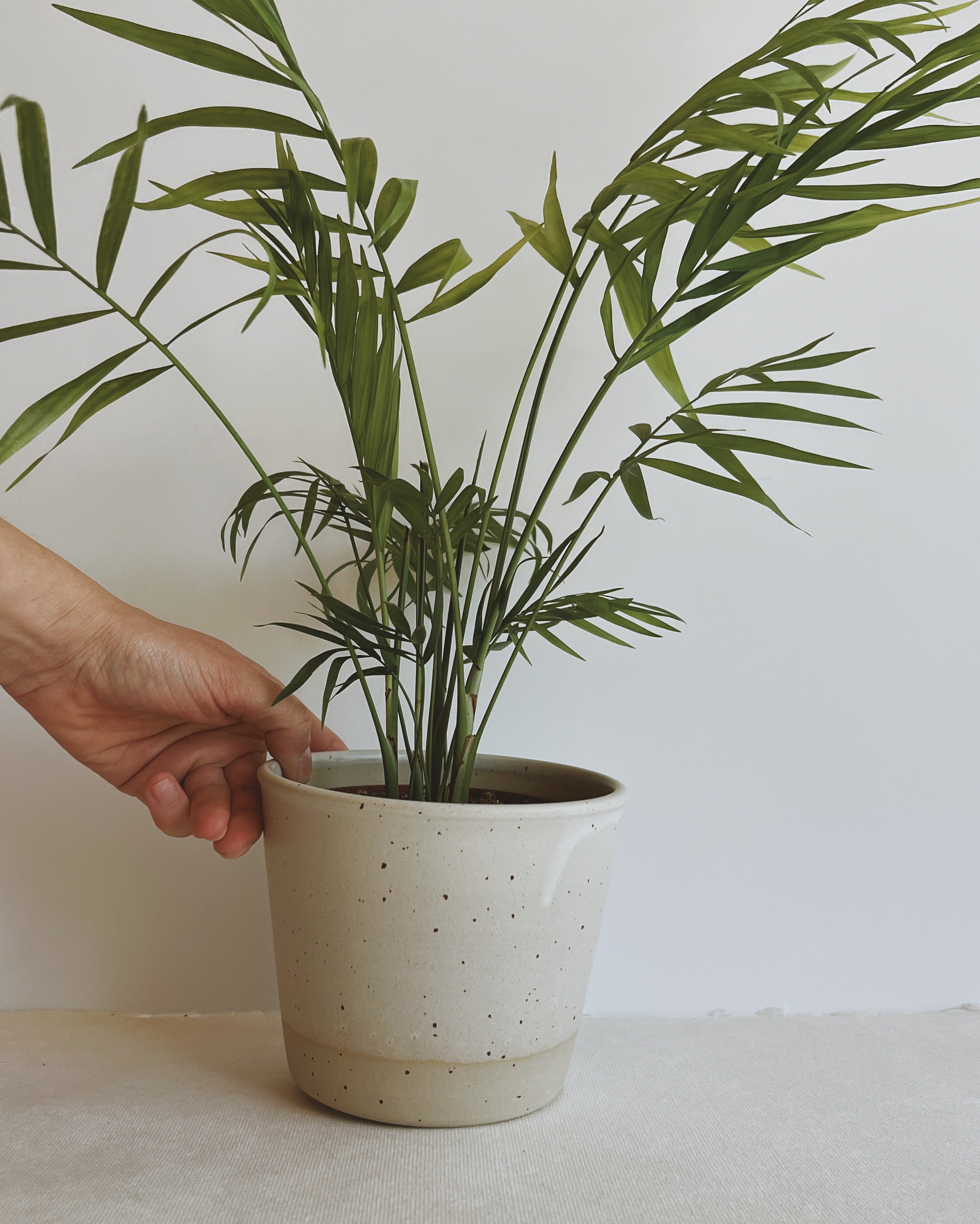Bloempot no. 7