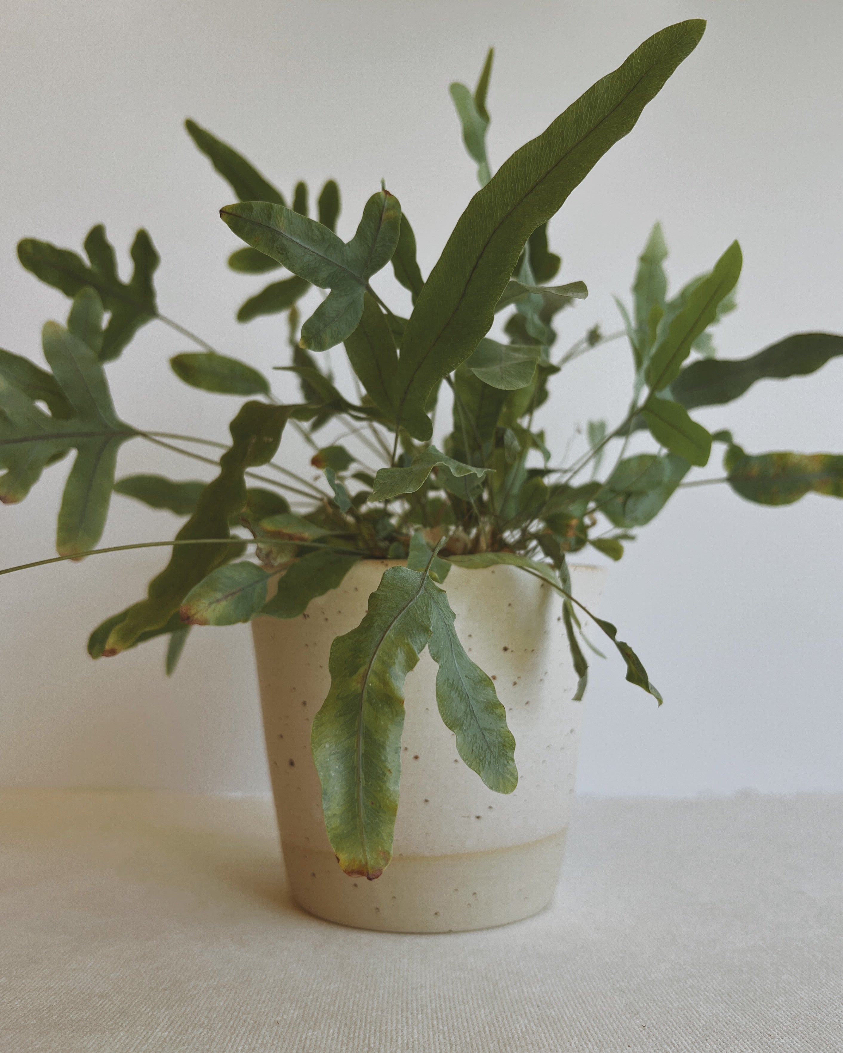 Bloempot no. 9